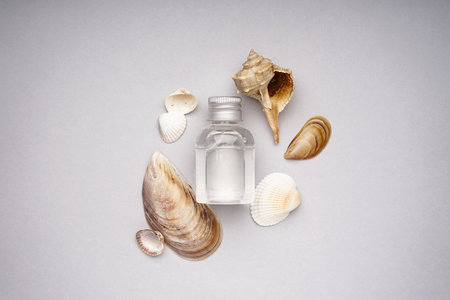 Many beautiful sea shells on gray background, flat lay