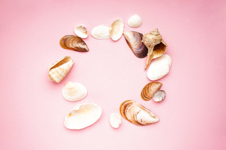 Many beautiful sea shells on pink background, flat lay with space for text.