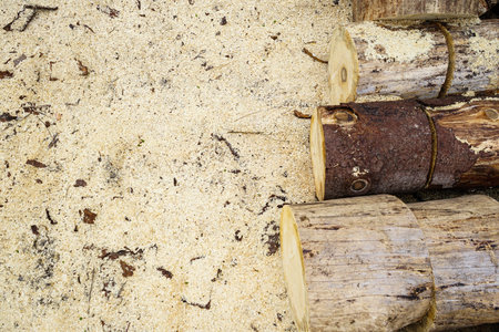 Close-up of cut tree trunks stacked in a woodpile with wood shavings on the ground. Rustic, natural concept, firewood preparation, winter heating, and traditional countryside life.の写真素材