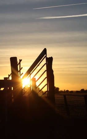 Cattle Yardsの写真素材