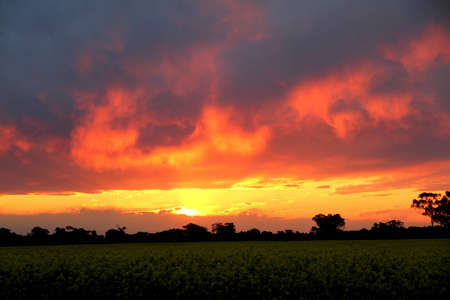 Orange Skyの写真素材