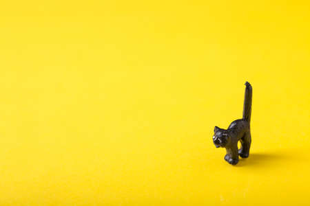 close up of a black isolated cat with yellow backgroundの写真素材