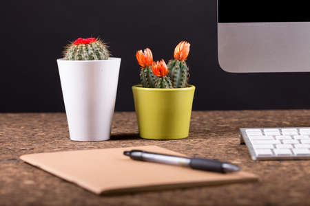 Close up view of a black work desk interior with a laptop computer, a cup of coffee, paper, pen and, cactus with flowers black backgroundの写真素材