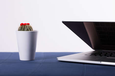 yoga mat with laptop computer ready for an online class or classes. Â© Michele Agostinis / Visualbrand Photographyの写真素材