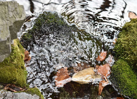 Purifying water sinking through the earth by the pond in Sapporo Japan