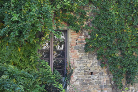 The surrounded by the greens on the old medieval wall in Tuscany Italyの写真素材