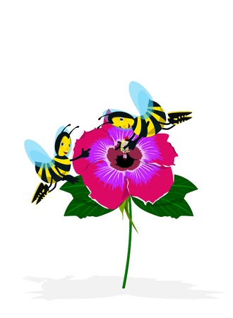 Bee on Camelliaのイラスト素材
