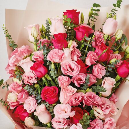 many roses in green and white in one containerの写真素材