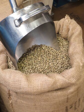 green coffee beans in a sack with a coffee spoonの写真素材
