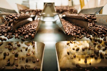 coffee beans sorted by modern tools with motion blurの写真素材