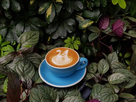 one coffee milk in a cup against the background of plantsの写真素材