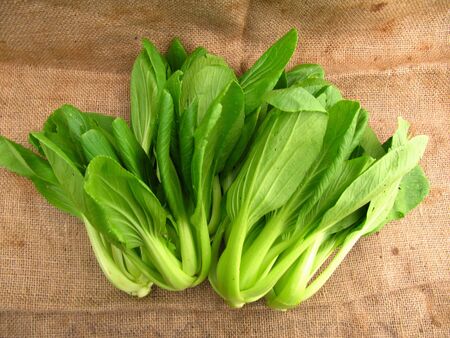 Bright green spinach is ready to be cookedの写真素材