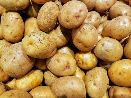 Potatoes with a unique color in one containerの写真素材