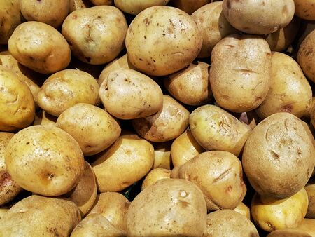 lots of potatoes in one basketの写真素材