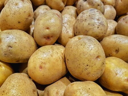 Potatoes in a round shape in one containerの写真素材