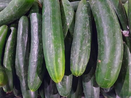 Cucumber vegetables in green are arranged neatlyの写真素材