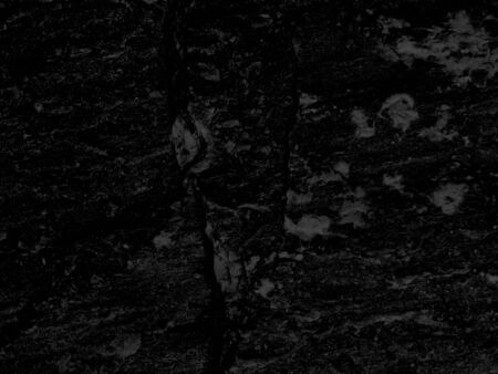 Abstract background Black with gray texture. Chaotic abstract organic design. Monochrome texture. Image includes a effect the black and white tones. White Grunge on Black Background for Overlay. Best Qualityの写真素材