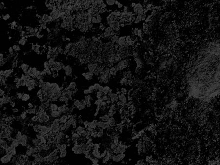 Abstract background Black with gray texture. Chaotic abstract organic design. Monochrome texture....