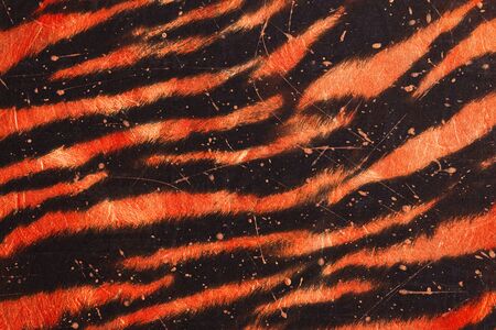 Cover design template set. Abstract tiger skin motif modern brochure layout. orange vibrant halftone gradients on black backgroundの写真素材