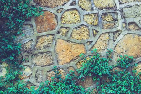 Stone wall perfectly organized,yellow and green grass texture from Rock wall Background Texture