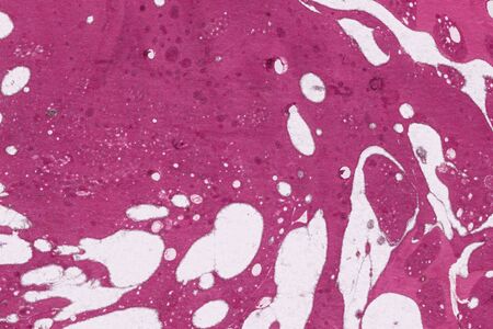 Abstract ink background.Winter purple marble ink paper textures on white watercolor...