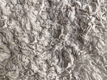 light gray wool texture pastel color gradient center abstract bright clean clear and animal wool...
