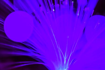 light purple neon light abstract Neon bright lens flare colored on black background.dark abstract...