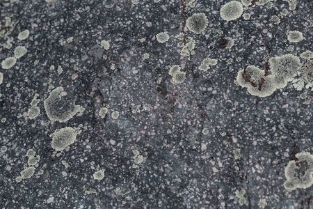 gray and black rock texture Dark grey black stones all are marble and texture for tile making and also backgroundの写真素材