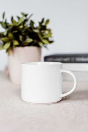 many note and stationary in white background white pastel desk christmas composition and Female home office desk and Fashion blog hero header backgroundの写真素材