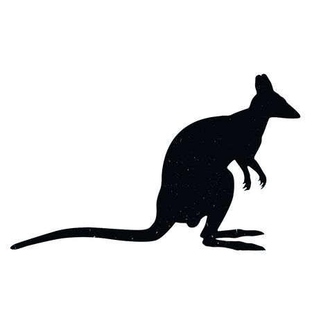 kangaroo shadow animal icon silhouettes isolated on dark black graphical in white backgroundの写真素材