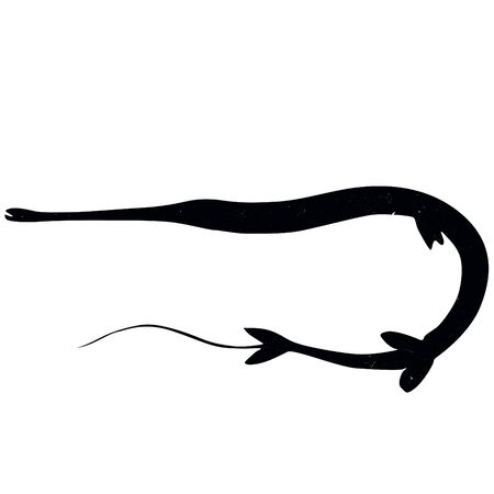 eel shadow animal icon silhouettes isolated on dark black graphical in white backgroundの写真素材