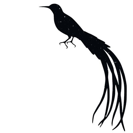 bird shadow animal icon silhouettes isolated on dark black graphical in white backgroundの写真素材