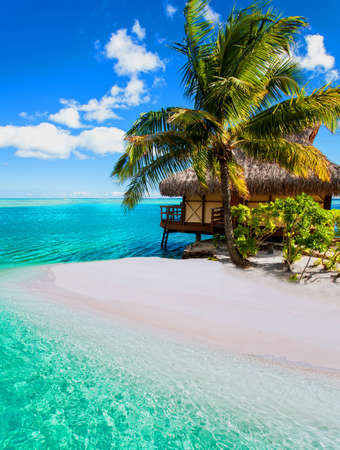 beautiful tropical paradise beach with white sand and coco palms on blue sea panorama background.
