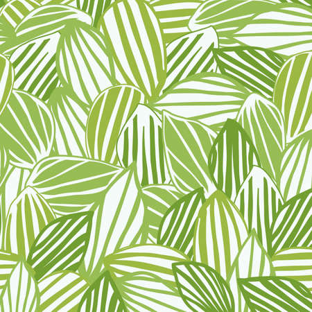 abstract light green and black geometric pattern with light green line and shape texture on background.の写真素材