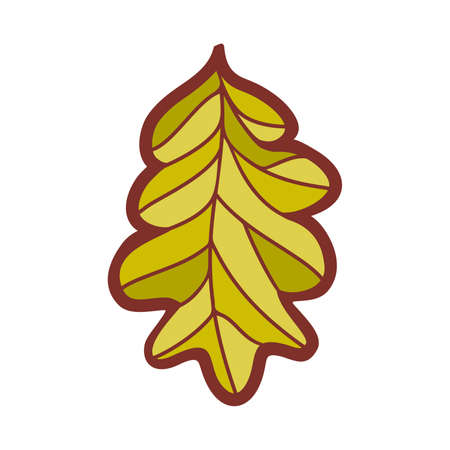 autumn dry leaves pattern and orange leaf on white background.の写真素材