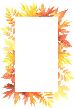abstract orange and yellow leaf square frame leaves beautiful floral pattern on white background.の写真素材