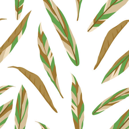abstract home jungle chocolate leaves garden concept interior modern stylish pattern on white background.の写真素材