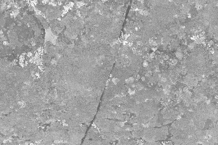 abstract light gray rock realistic retro vintage natural wave futuristic marble texture on rock background.の写真素材