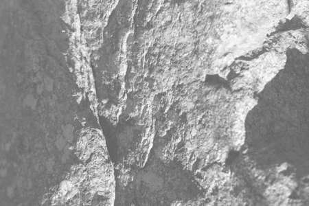 abstract light gray rock realistic retro vintage natural wave futuristic marble texture on rock background.の写真素材