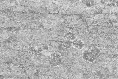 abstract light gray rock realistic retro vintage natural wave futuristic marble texture on rock background.の写真素材