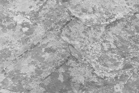 abstract light gray rock realistic retro vintage natural wave futuristic marble texture on rock background.の写真素材