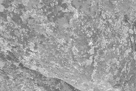 abstract light gray rock realistic retro vintage natural wave futuristic marble texture on rock background.の写真素材