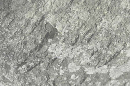 abstract light gray rock realistic retro vintage natural wave futuristic marble texture on rock background.の写真素材