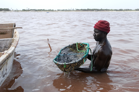 Man working in salt mining industrie at Lake Retba in Senegalのeditorial素材