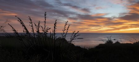 Colourful sunrise sky on the sea from the shore of Shag Point with phormium tenax also called New...