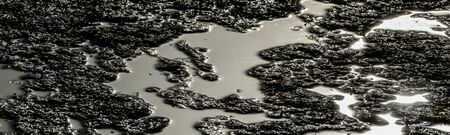 abstract natural black and white panorama of mosquitos on a pattern of mud with reflecting sunlight on the water at marshland of the Marun salt lake at Bahariya oasisの写真素材