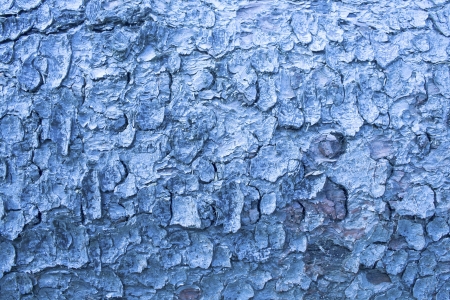 Abstract blue, background.の写真素材