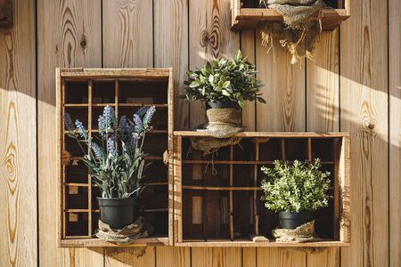 Wooden boxes with lavender, sage and other aromatic plantsの写真素材