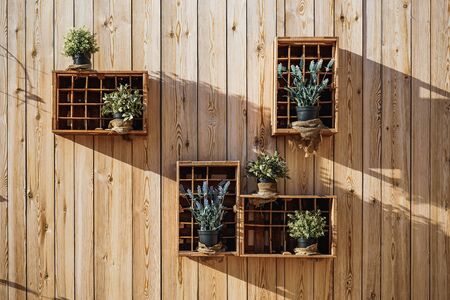 Wooden boxes with lavender, sage and other aromatic plantsの写真素材