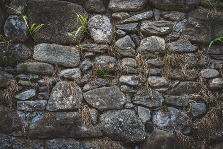 Old natural stone wall with green and dry vegetation growing among the rocksの写真素材